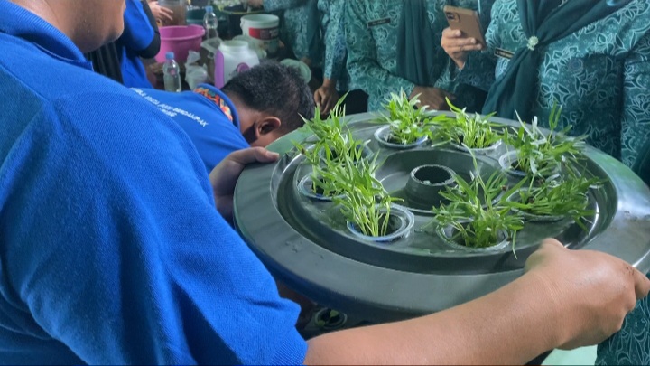 Budidaya Ikan dalam Ember